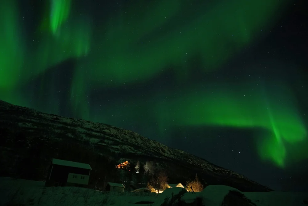 Green Northern Lights overhead in the dark sky above Lapland, one of the best places in the world to visit
