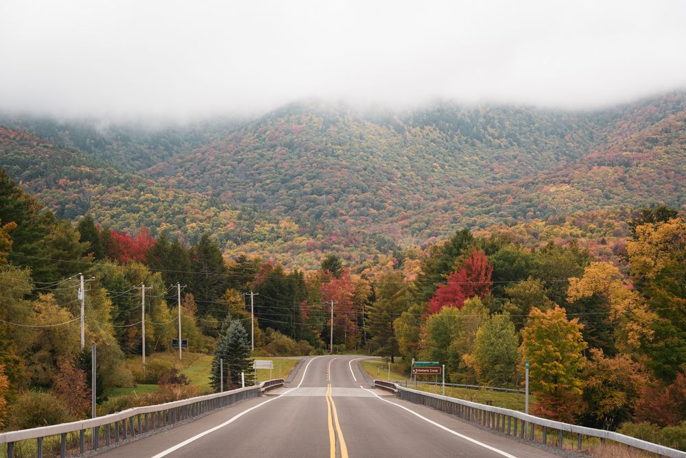 Autumn foliage surrounds the road leading to the Catskills mountains, one of the best day trips from NYC