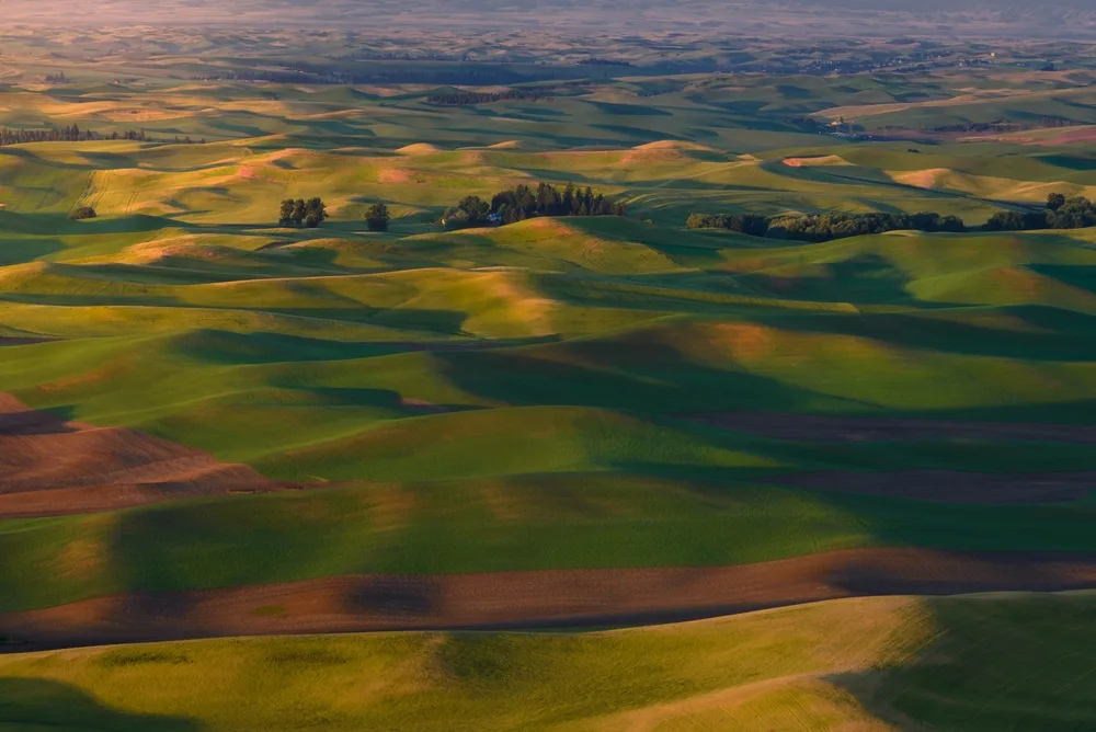 The eternal rolling hills of Palouse, one of the best places to visit in Idaho, pictured from the air