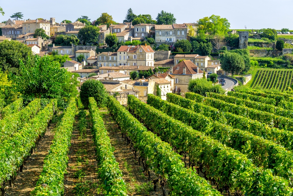 Winery fields pictured with rows of grape vines running toward the village of Saint Emilion