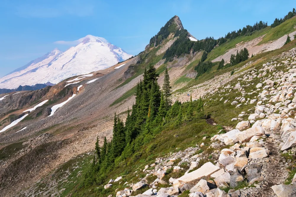 Green trees on the side of Mount Baker's wilderness pictured as one of the best day trips from Seattle