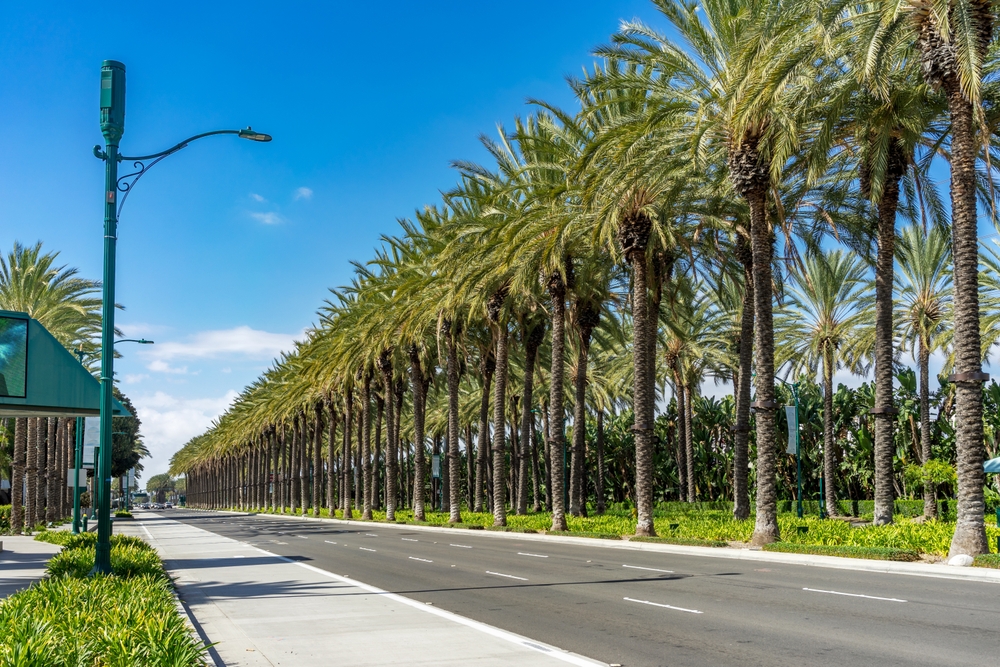 Row of palm trees pictured along a small street in Anaheim, a top pick for the best places to visit in Southern California