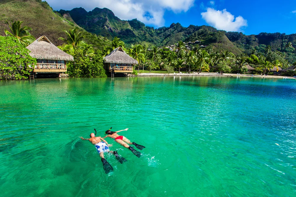 Young couple snorkeling over a green reef in a bay in Bora Bora
