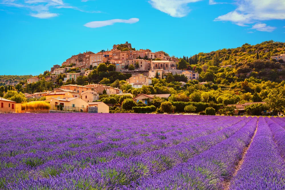 Miles of gorgeous deep purple lavender fields in one of France's best areas to visit, Provence