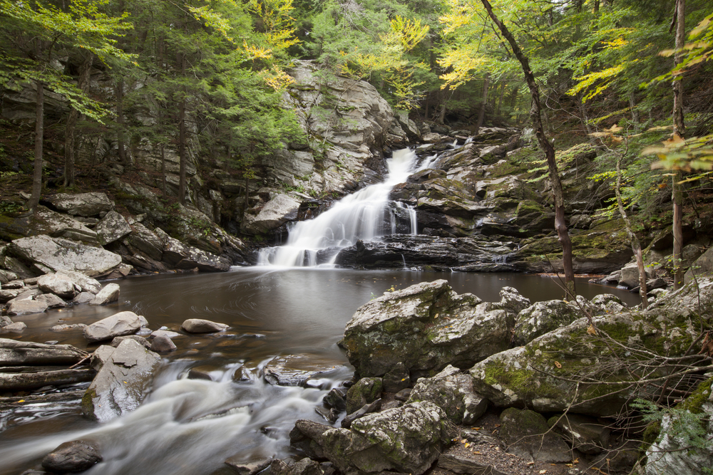 View of Wahconah Falls in the Berkshire Mountains, one of the best day trips from Boston, with trees surrounding the water and pond below