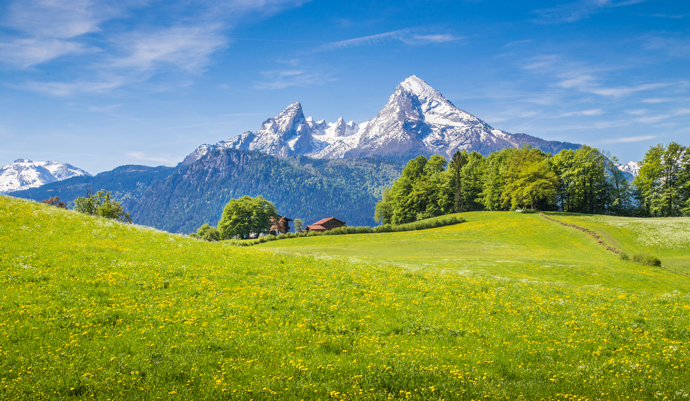German Alps as seen from a lush green meadow with mountains rising up in the distance
