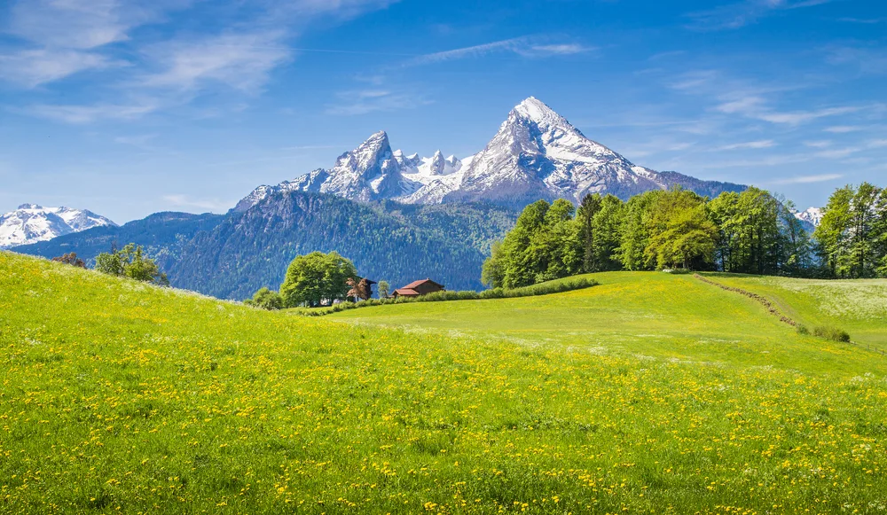 German Alps as seen from a lush green meadow with mountains rising up in the distance