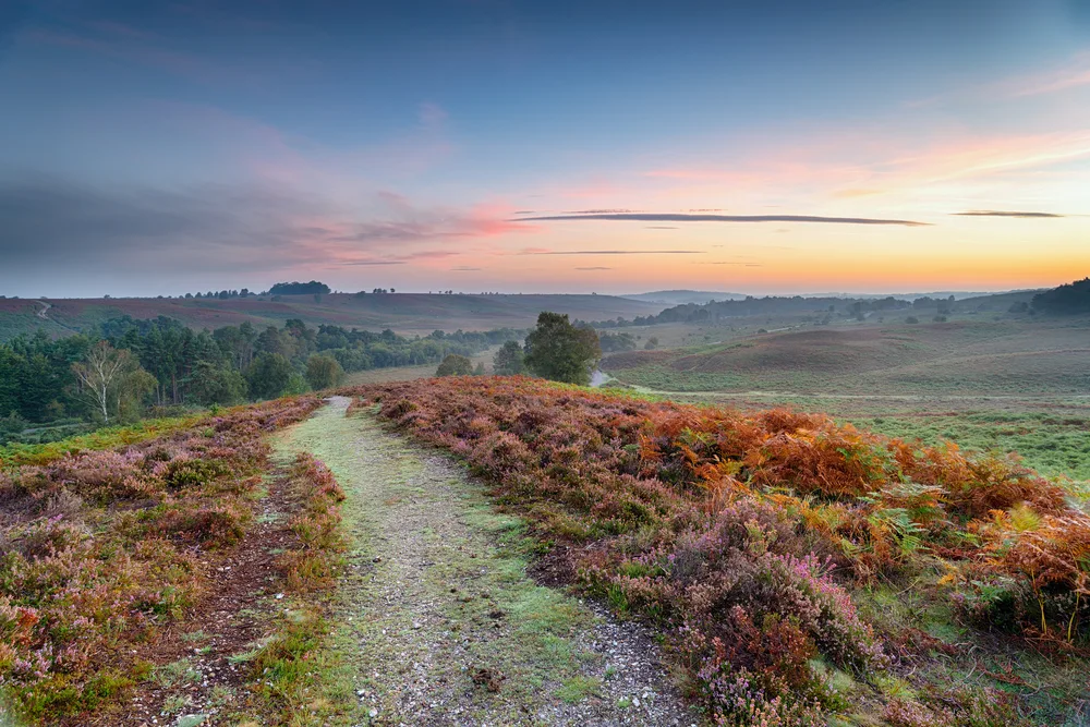 Misty day over New Forest National Park with the sun setting over the hills in the distance