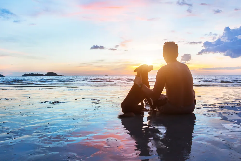 A man and his dog on the beach at sunset with light reflecting in the water showing one of the health benefits of traveling