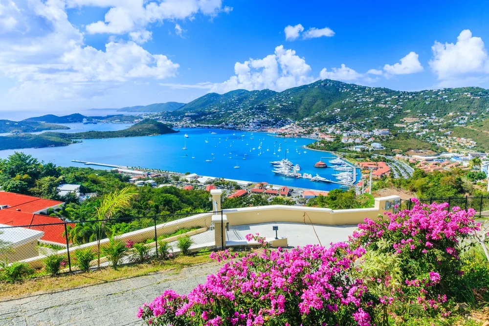 St. Thomas island view with pink flowers and blue seawater shown with clouds in the sky and mountains in the distance as one of the best Caribbean islands to visit