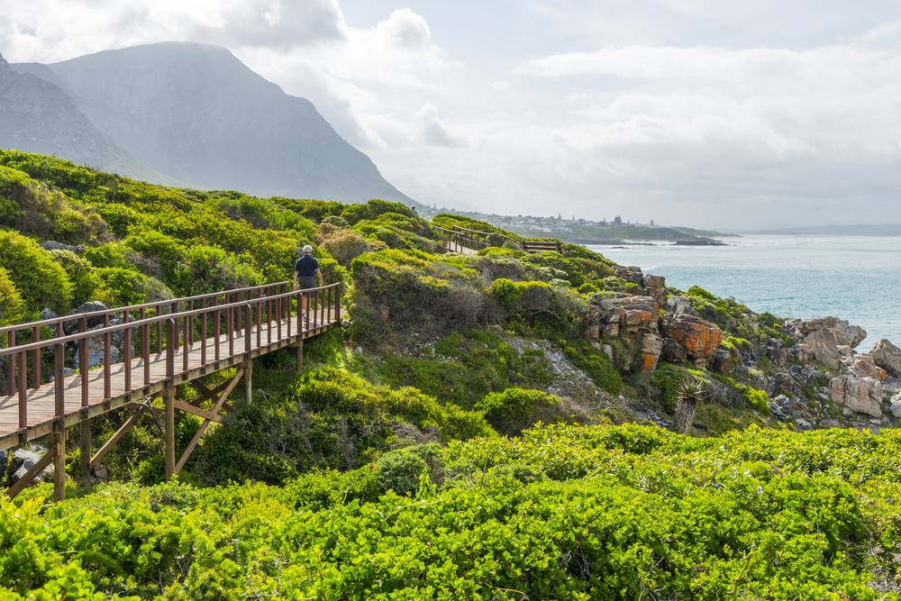 Wooden boardwalk in Hermanus, one of the best places to visit in South Africa, seen below the tall mountain overlooking the water
