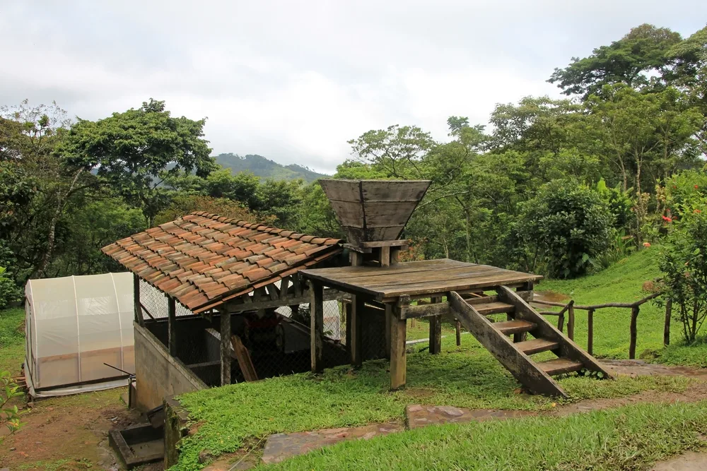 Unique coffee plantation used to represent one of the best places to visit in Central America, Granadilla, Nicaragua
