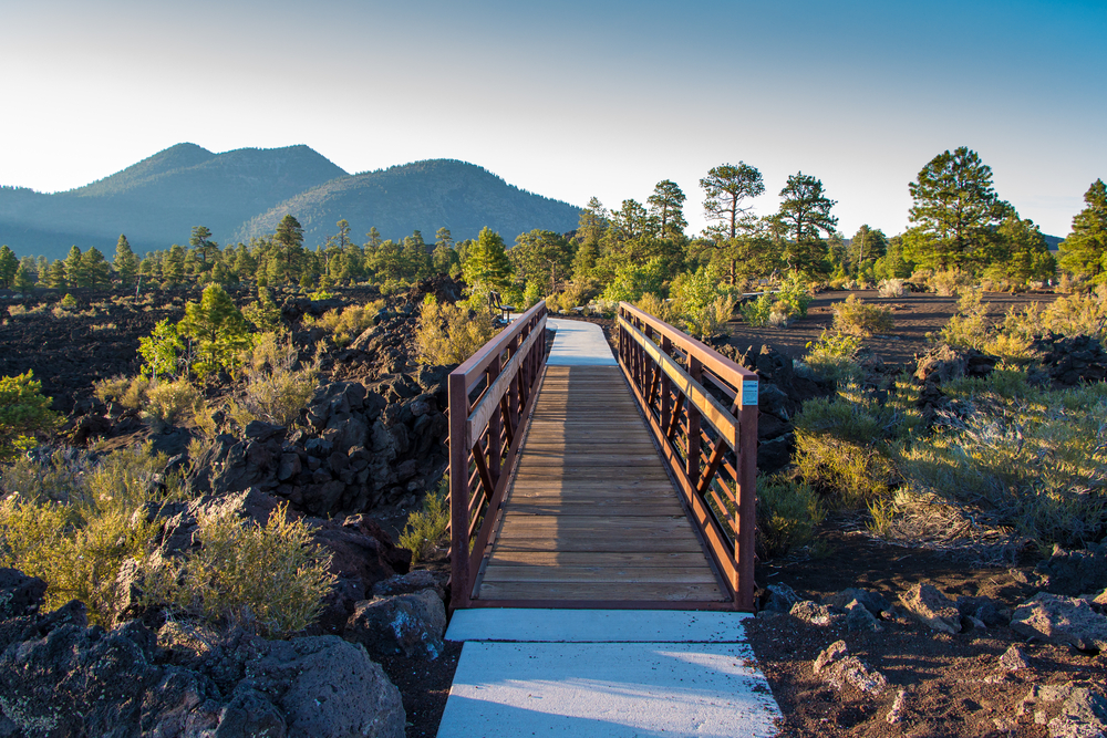 Giant Sunset Crater in Arizona pictured on a nice day with cacti on either side of an elevated wooden walking path in East Flagstaff, one of the city's best areas to stay