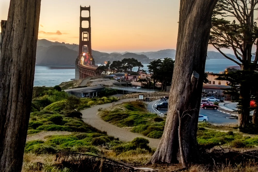 Golden Gate Bridge pictured through trees with a winding path in the middle of the image