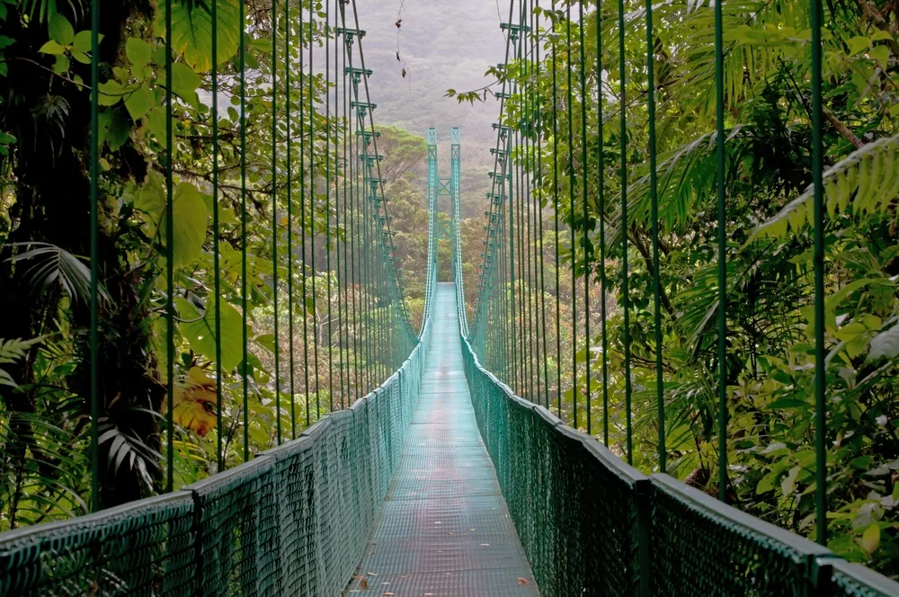 For a roundup of Central America's best places to visit, a metal suspension bridge spans the valley below in the rainforest of Monteverde