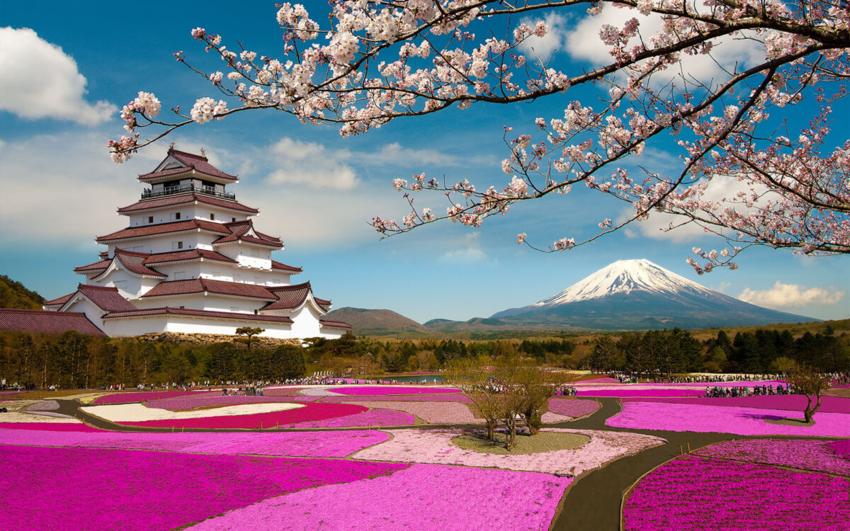 Is Japan Safe to Visit in 2024? Expert Advice & Safety Tips