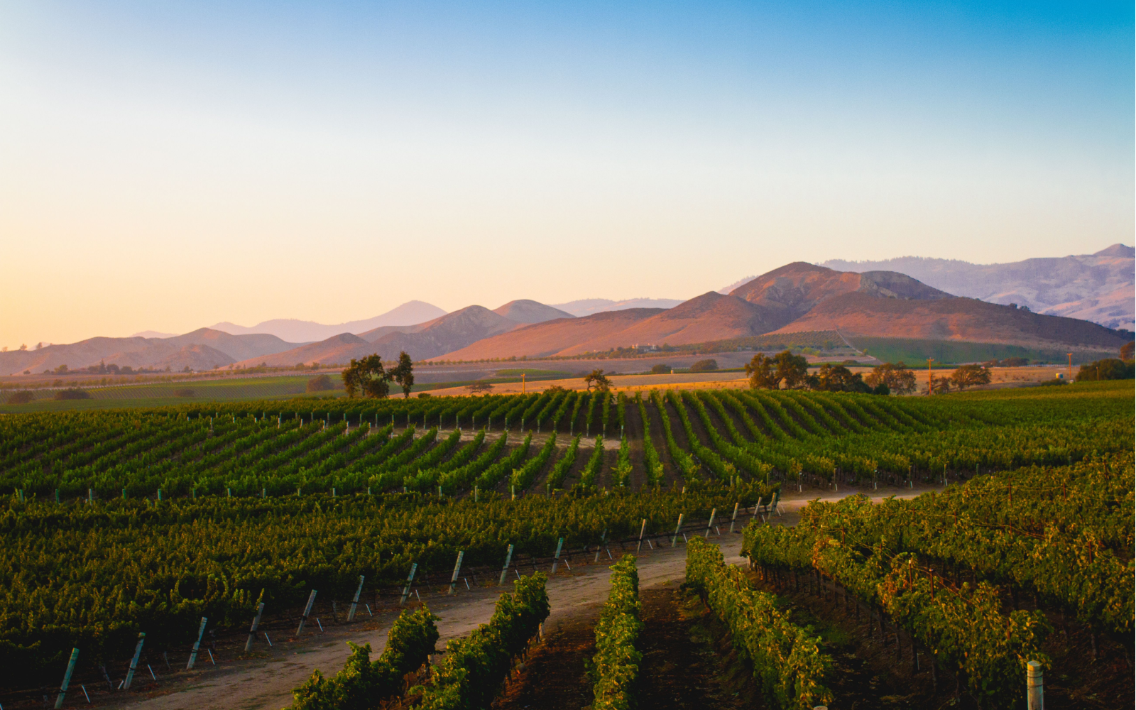 Where to Stay in California Wine Country in 2024