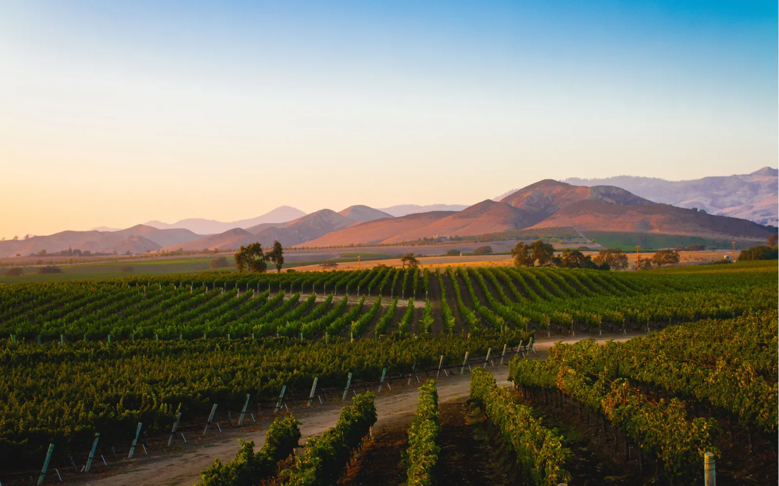 Where to Stay in California Wine Country in 2024