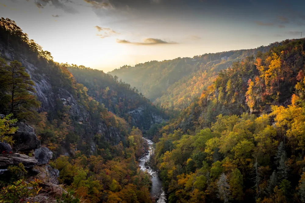 Tallulah Gorge pictured with a river running through the middle of a steep hilly mountain area with green and red trees on either side, as seen at dusk