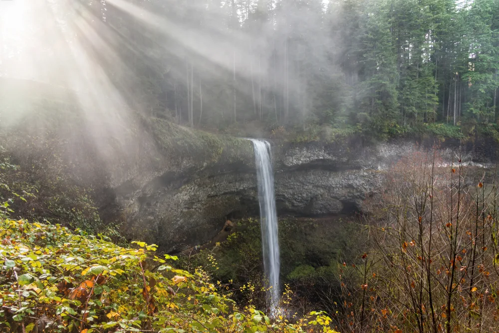 Sun rays streaming through the hazy forest during the best time to visit Willamette Valley with the Silver Falls in Oregon pictured in the middle of the image