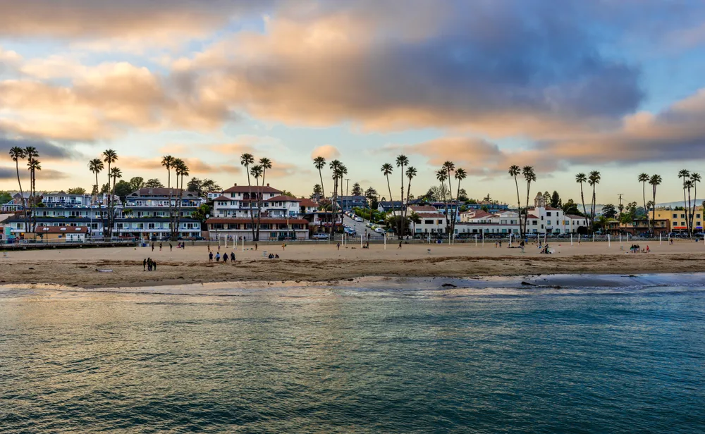 Santa Cruz Main Beach at sunset shows sandy shores with palm trees and calm water, reasons it's one of the best beaches in California
