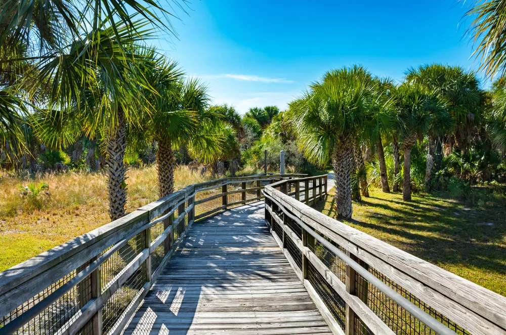 Wooden boardwalk with palm trees at Caladesi Island Beach in the state park off the coast of Florida for a frequently asked questions section on the best beaches in the US
