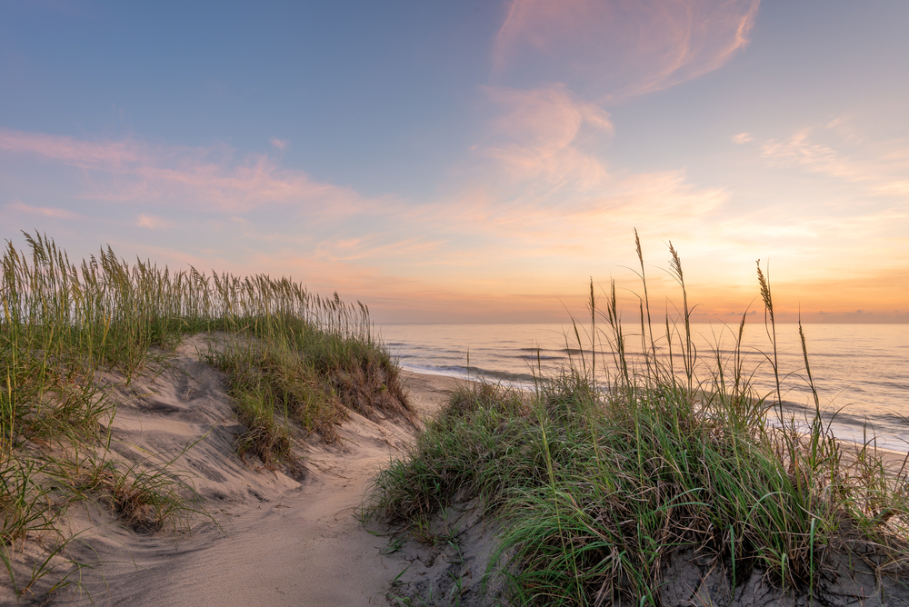 Marram grass on sand dunes in OBX, North Carolina at sunset showing the natural beauty of the beach in one of the best places to visit in June
