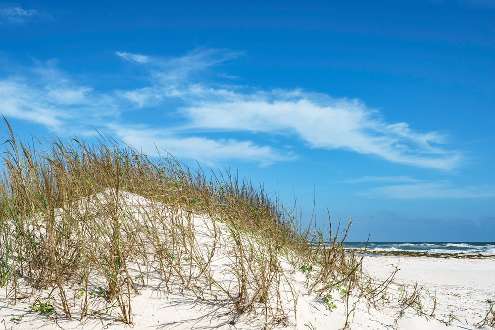 Sand dunes with seagrass along the St. George Island State Park beach, which is one of the best beaches in Florida
