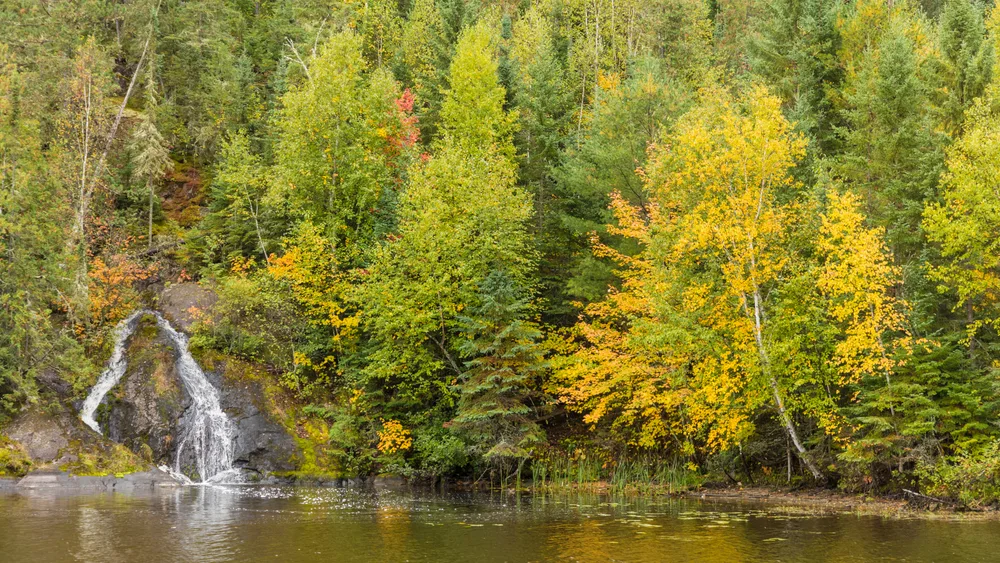 Fall time, the overall best time to visit Voyageurs National Park, pictured with green and yellow trees