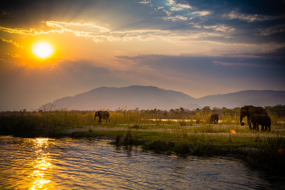 Elephants seen in a watering hole at dusk with a giant mountain in the background in Lower Zambezi National Park during the least busy time to visit Zambia