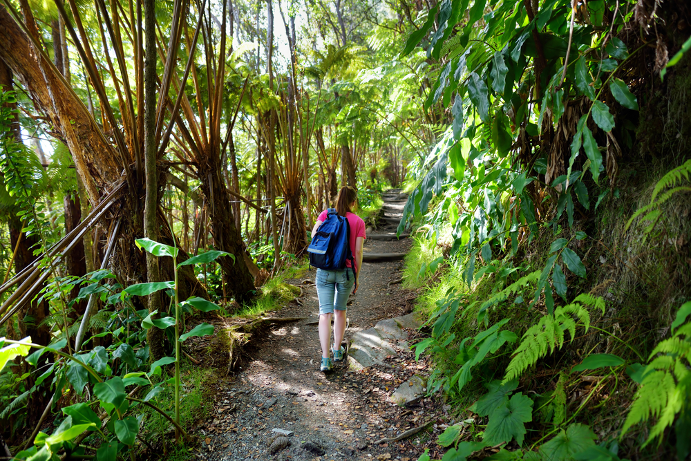 Tourist on an empty hiking trail in Kilauea in Volcanoes National Park