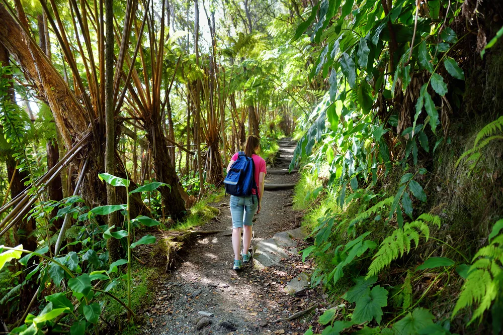 Tourist on an empty hiking trail in Kilauea in Volcanoes National Park