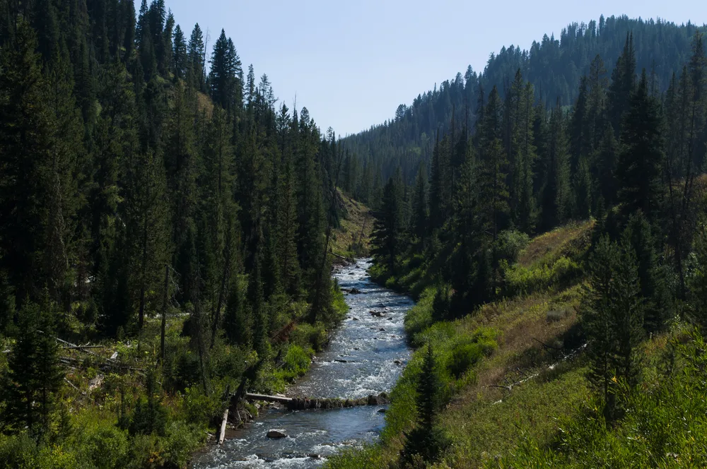 Stream running through the Bridger-Teton National Forest, one of the best places to visit in Wyoming