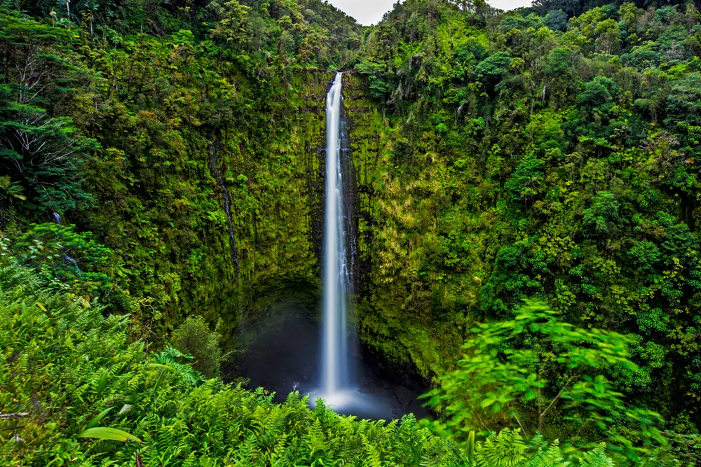 Akaka Falls pictured from the top of a hillside across the pond from the falls