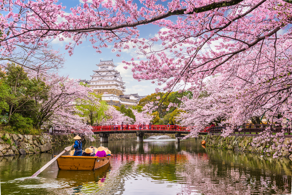 Guide in a pointy hat pushing a rowboat between two stone walls under cherry trees, pictured as a featured image for a guide titled Is Japan Safe to Visit