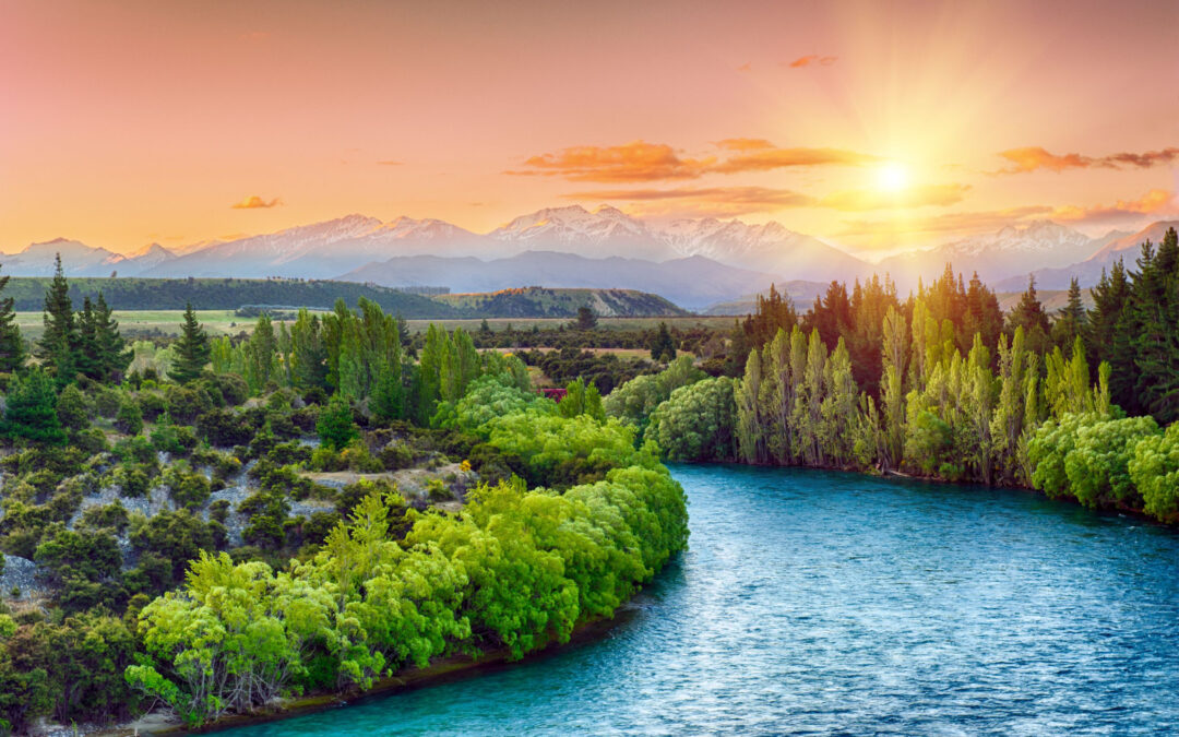 Is New Zealand Safe to Visit in 2024? Safety Concerns