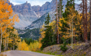 Wheeler Peak as seen during the best time to visit Great Basin National park in Nevada with yellow and green trees on either side of a winding road