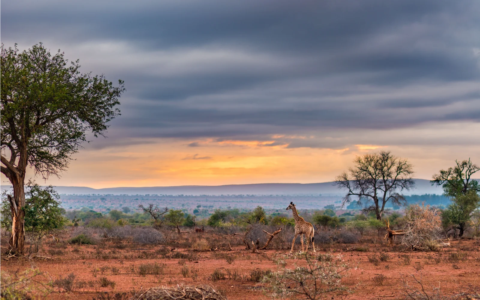 Is Kruger National Park Safe to Visit in 2024? | Safety Tips