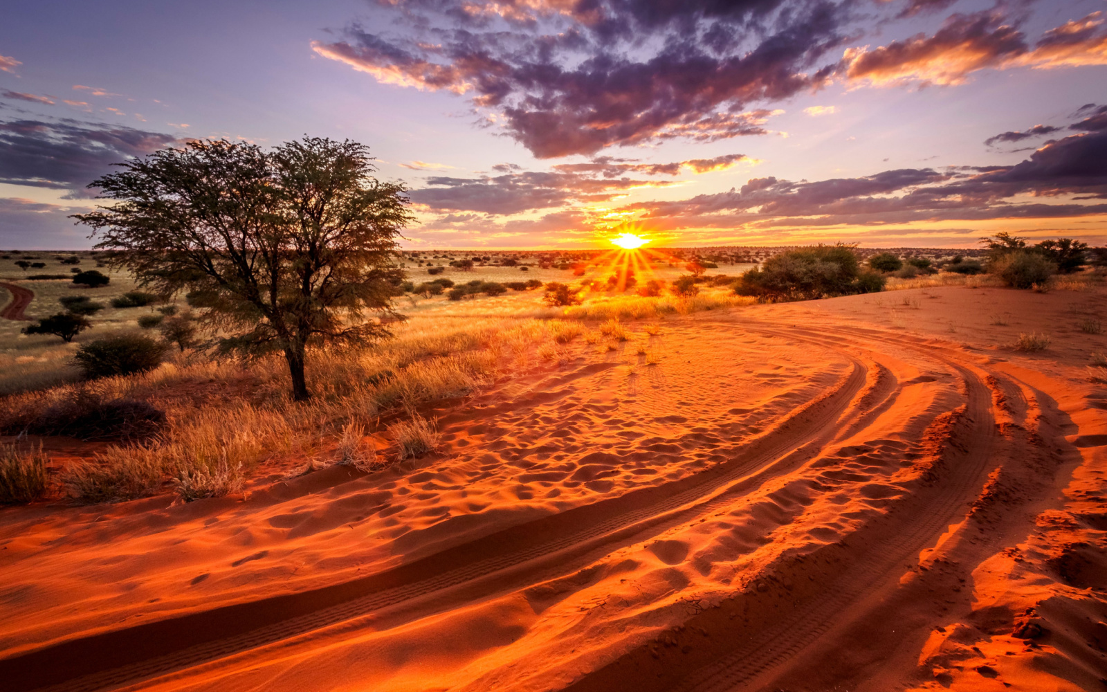 Is Namibia Safe to Visit in 2024? | Safety Concerns