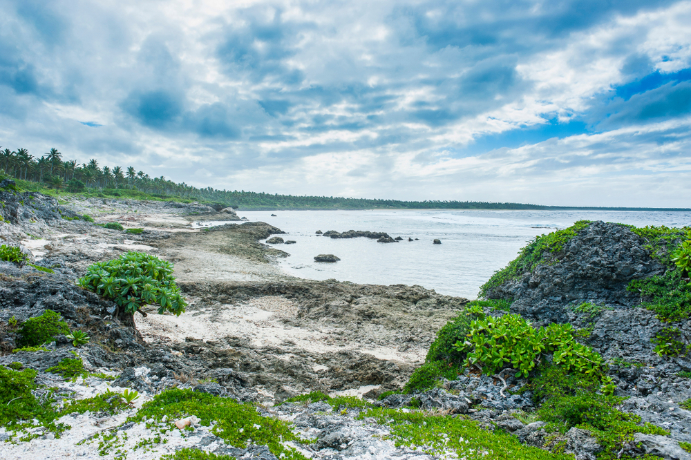 View of the rocky coastline on a cloudy day during the least busy time to visit Tonga with vegetation growing among the rocks in the Ha'apai island group