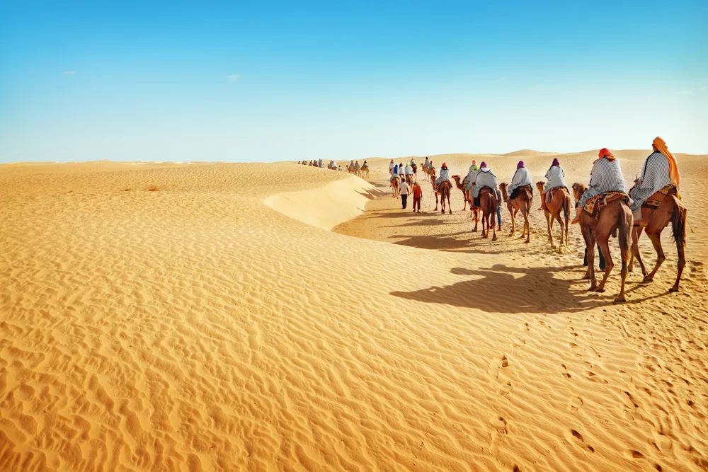 Group of men in a camel caravan trek across the Sahara Desert to show the best time to visit Tunisia in April to June