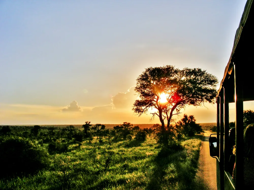 View of a gorgeous sunset with a single tree on the left side, as seen out of the window of a safari truck looking forward for a piece titled Is Kruger National Park Safe to Visit