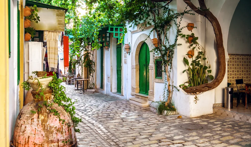 Medina alley with colorful doors and vines growing during the cheapest time to visit Tunisia