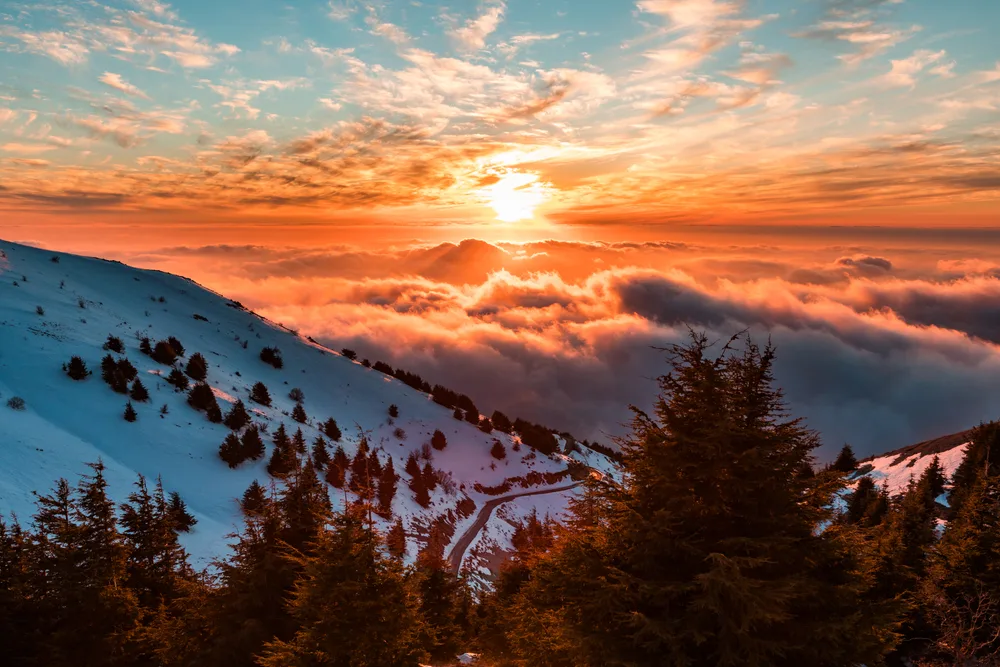 Al Shouf Reserve in the mountains covered with snow during winter, the worst time to visit Lebanon, at sunset
