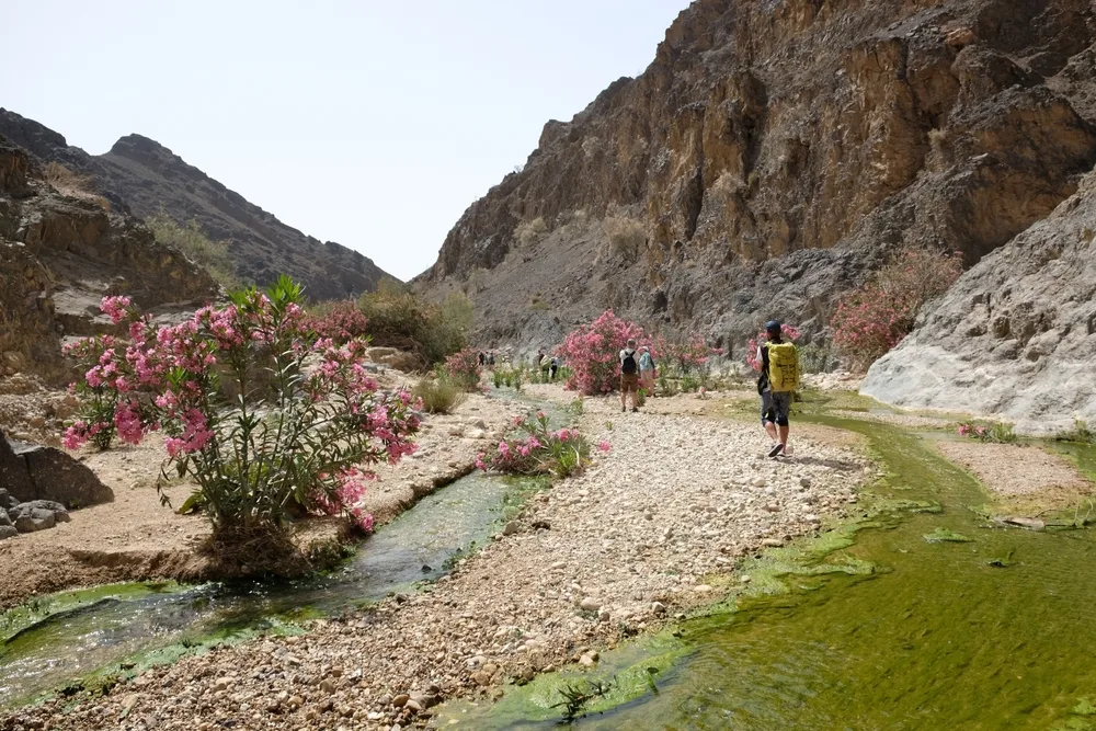 Man hiking in the extreme heat of the summer, the overall worst time to visit Jordan, with tall rocks and rivers around him
