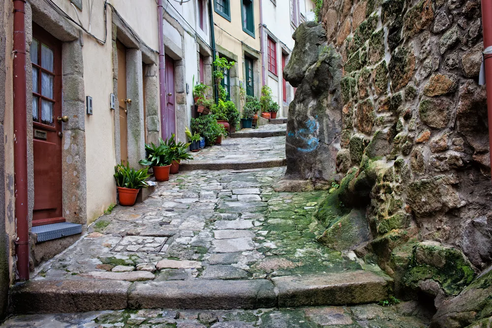 An empty, narrow stone-paved street in the Old Town of Ribeira with moss and plants lining the walls during the least busy time to visit Porto