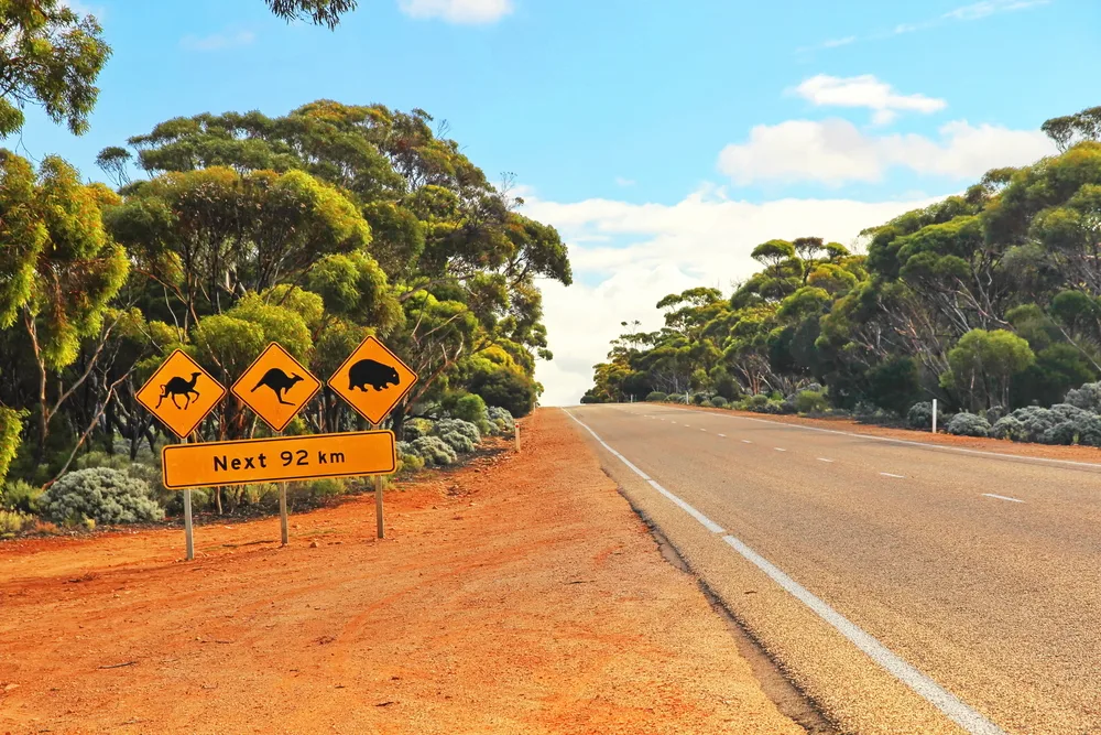 For a piece on whether Australia is safe to visit, pictured is a wallaby crossing sign next to the road in the Nullabor