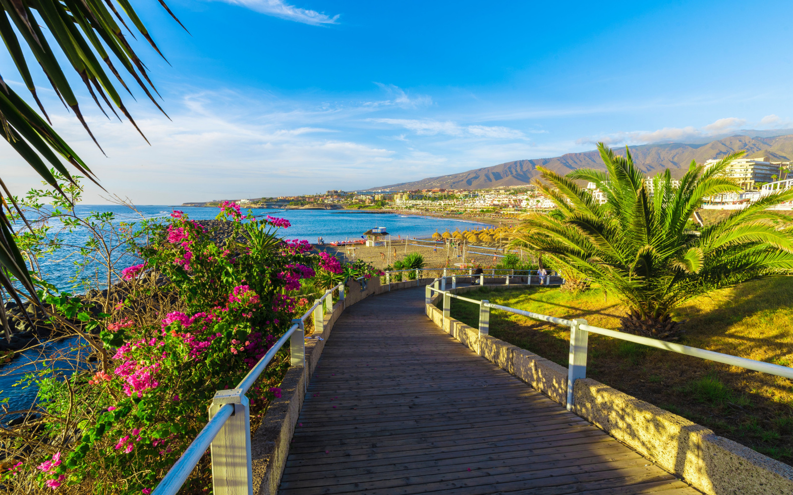 Are the Canary Islands Safe to Visit in 2024? | Safety Tips