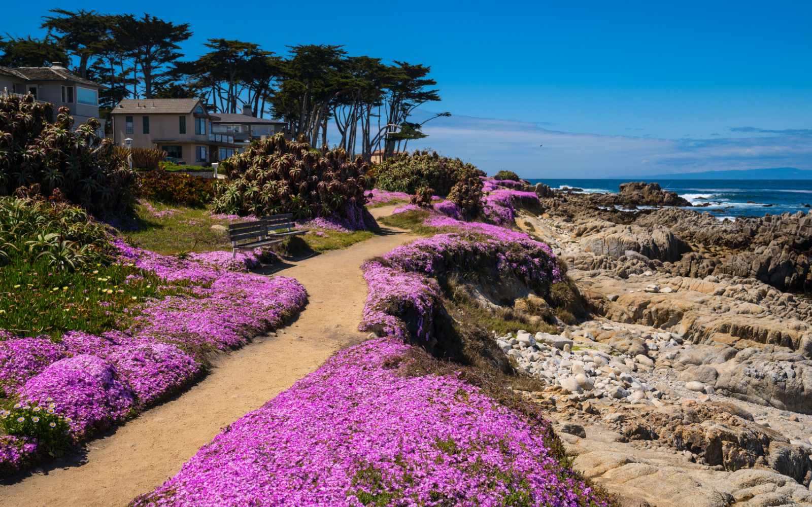 Where to Stay in Monterey in 2024 | Best Areas & Hotels