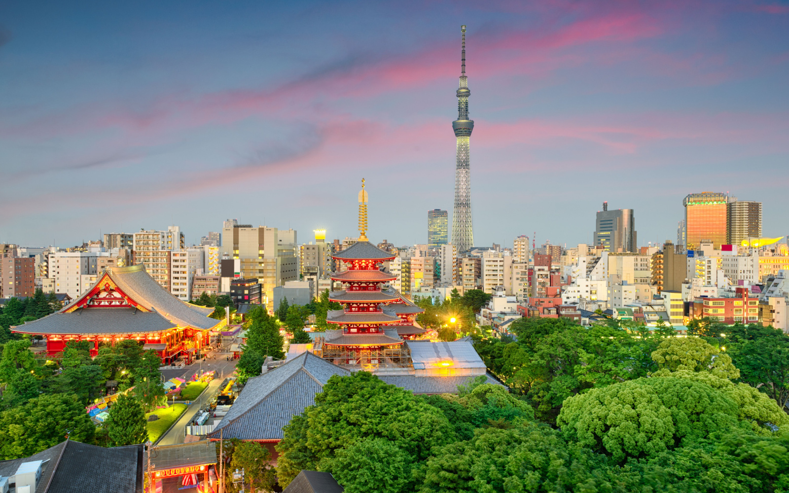 Skyline of Tokyo as a featured image for a guide to whether or not Tokyo is safe to visit featuring a tower, temple, and a bunch of residential apartment towers seen at night